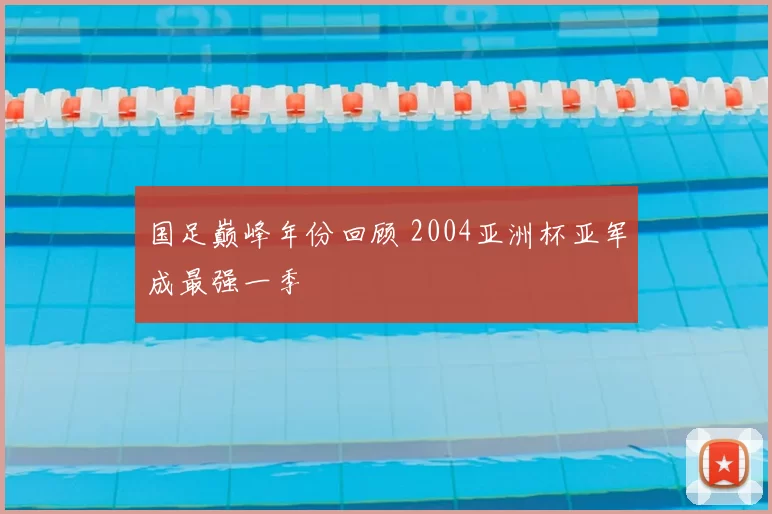 国足巅峰年份回顾 2004亚洲杯亚军成最强一季