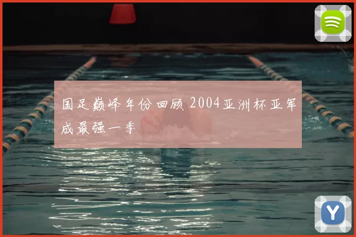 国足巅峰年份回顾 2004亚洲杯亚军成最强一季